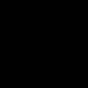 Meet your Posher, Jackson